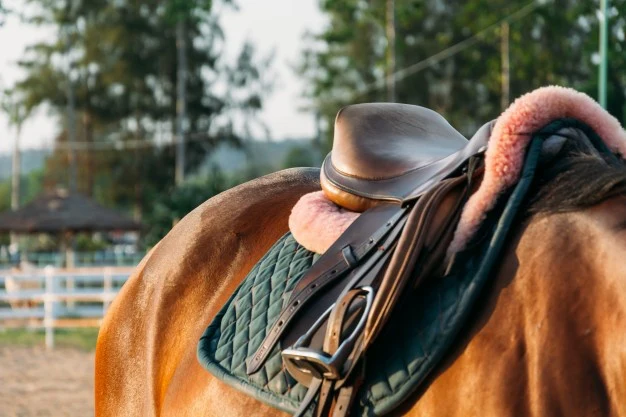 Heritage Leather for Modern Riders